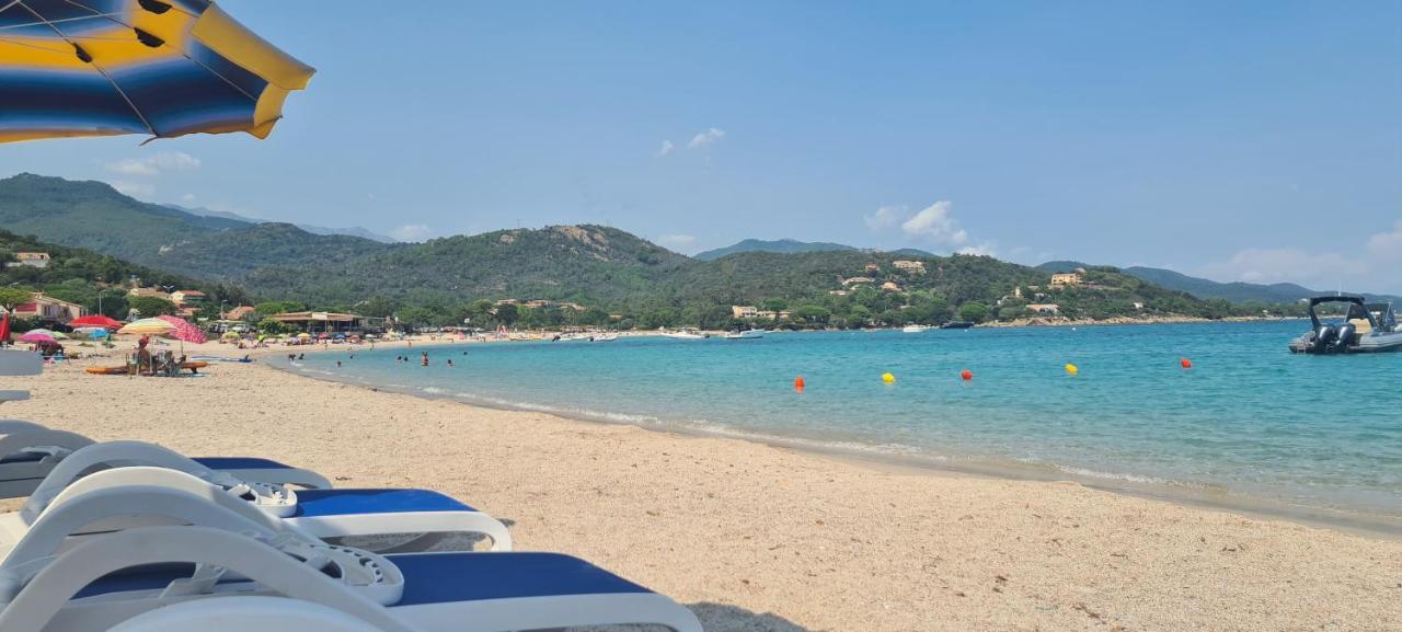 Villa Favone 4 Chambres Piscine Privee Конка Екстериор снимка